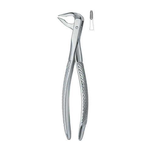 Tooth Extracting Forceps|(eng)